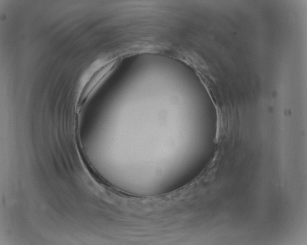 X0000074280003200609081838