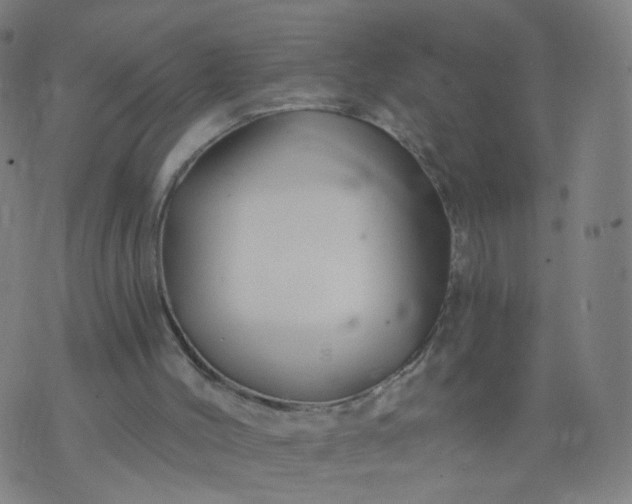 X0000074280004200609081838