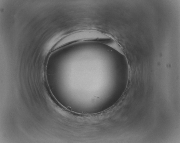 X0000074280005200609081838