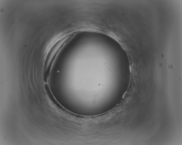 X0000074280007200609081838