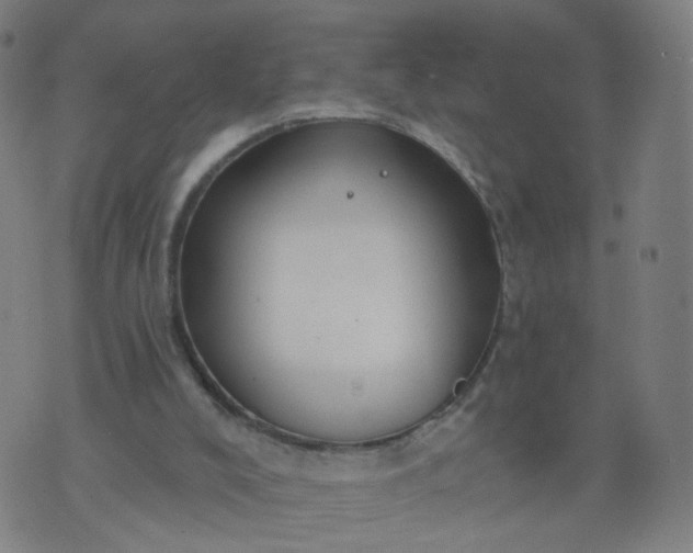 X0000074280008200609081838