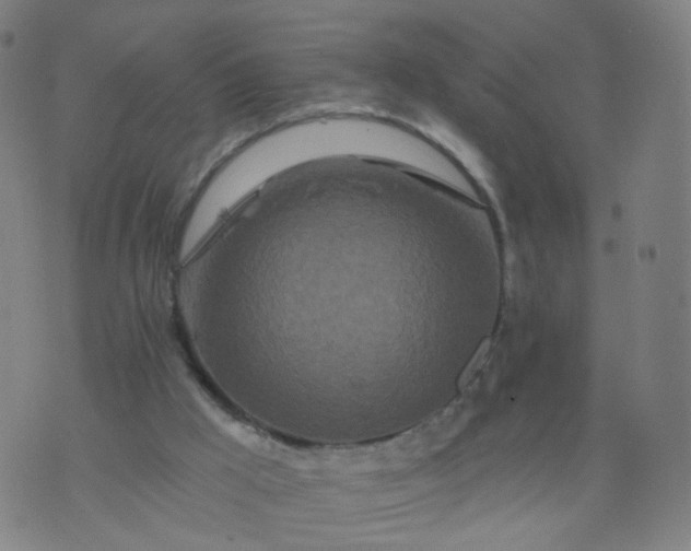 X0000074280009200609081838