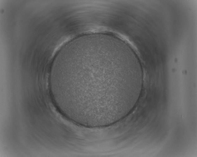 X0000074280010200609081838