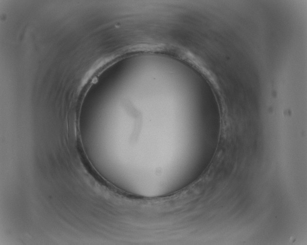 X0000074280011200609081838