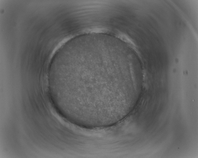 X0000074280012200609081838