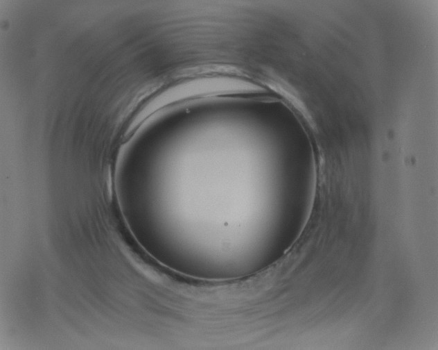 X0000074280013200609081838