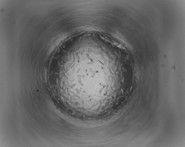 X0000074280014200609081838