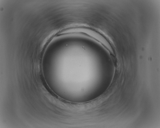 X0000074280015200609081838