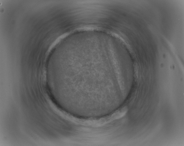 X0000074280016200609081838