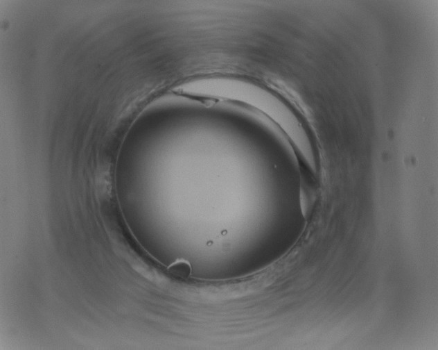 X0000074280017200609081838