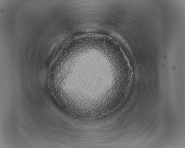 X0000074280018200609081838