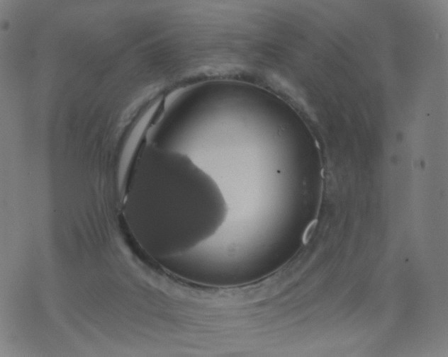 X0000074280019200609081838