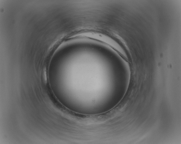 X0000074280020200609081838