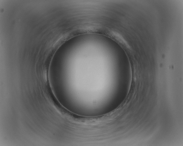 X0000074280021200609081838