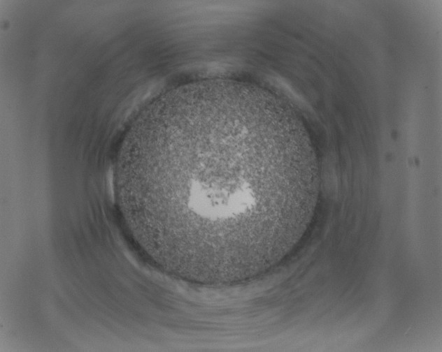 X0000074280022200609081838