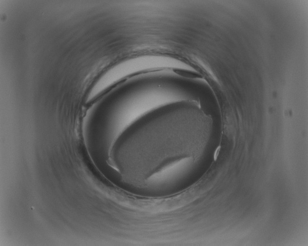 X0000074280023200609081838