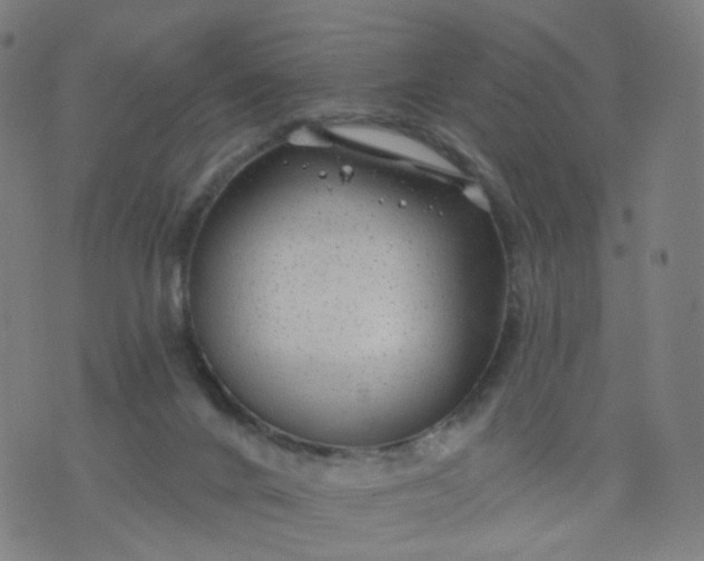 X0000074280024200609081838