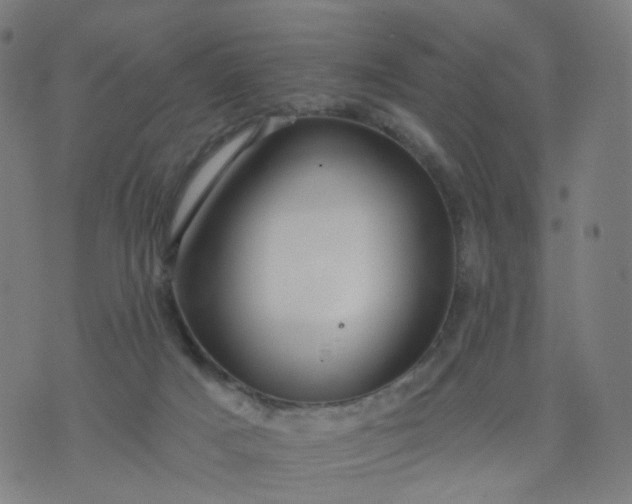 X0000074280025200609081838