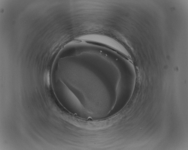 X0000074280027200609081838