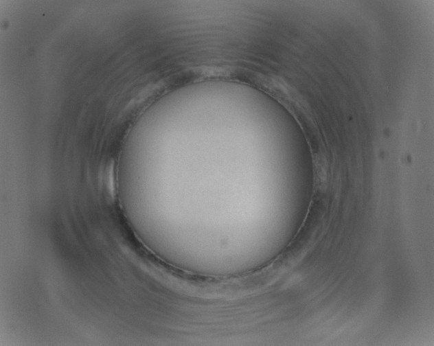 X0000074280028200609081838