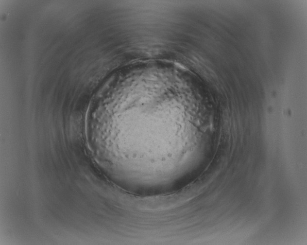 X0000074280030200609081838