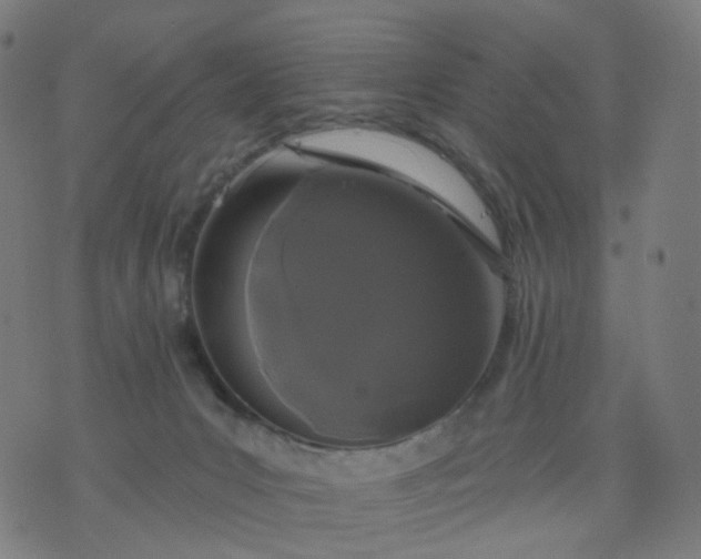 X0000074280031200609081838