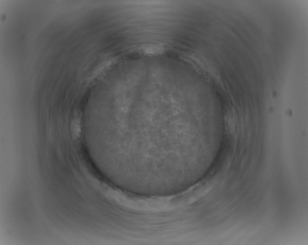 X0000074280032200609081838