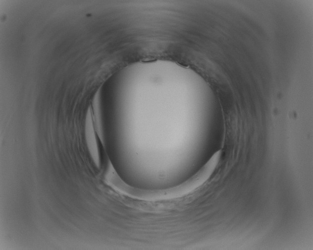 X0000074280033200609081838