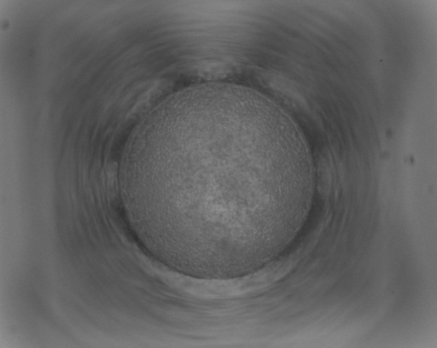 X0000074280034200609081838