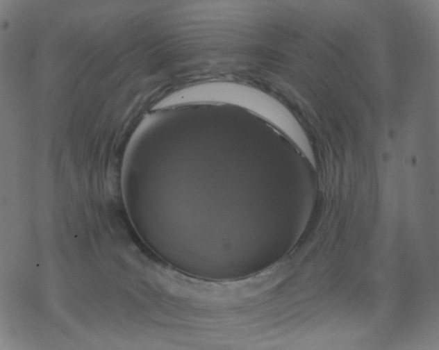 X0000074280035200609081838