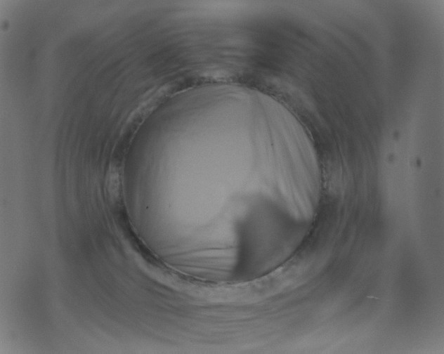 X0000074280036200609081838