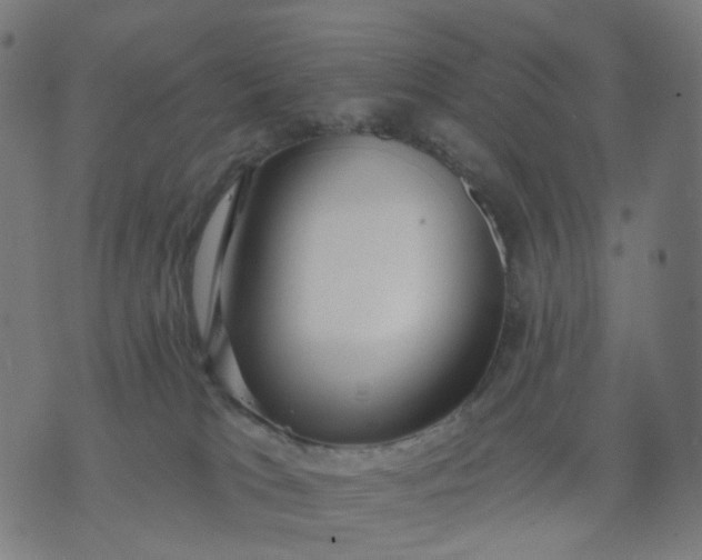 X0000074280037200609081838