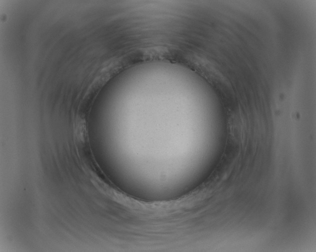 X0000074280038200609081838