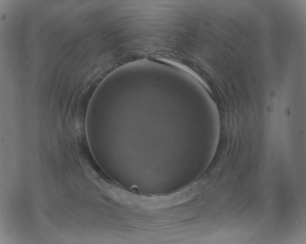 X0000074280039200609081838