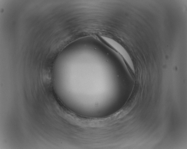 X0000074280040200609081838