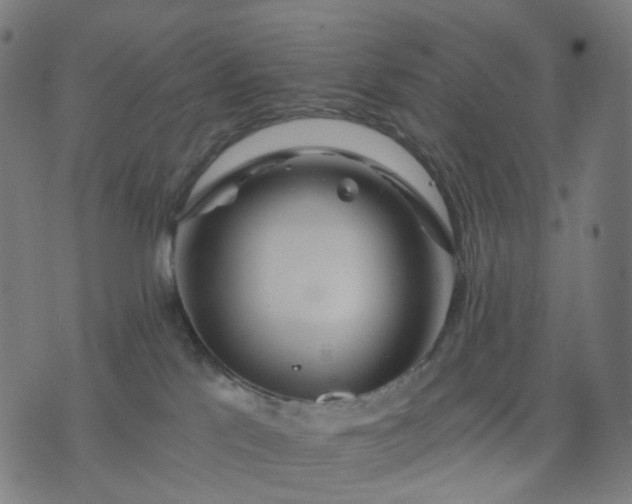 X0000074280041200609081838