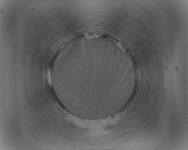 X0000074280042200609081838