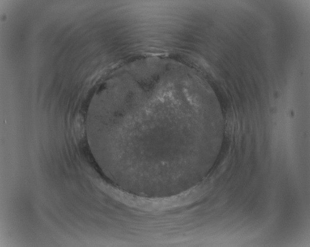 X0000074280043200609081838