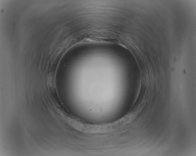 X0000074280044200609081838