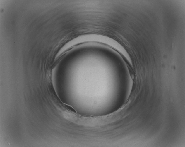 X0000074280045200609081838