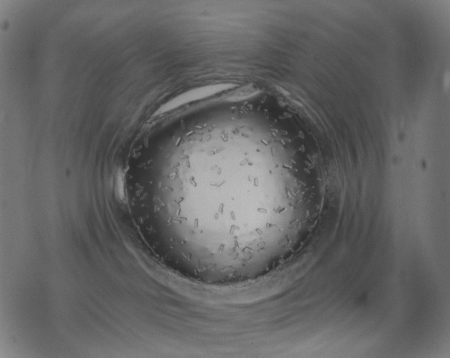 X0000074280046200609081838