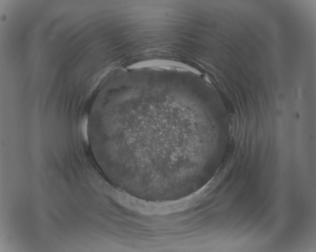 X0000074280047200609081838