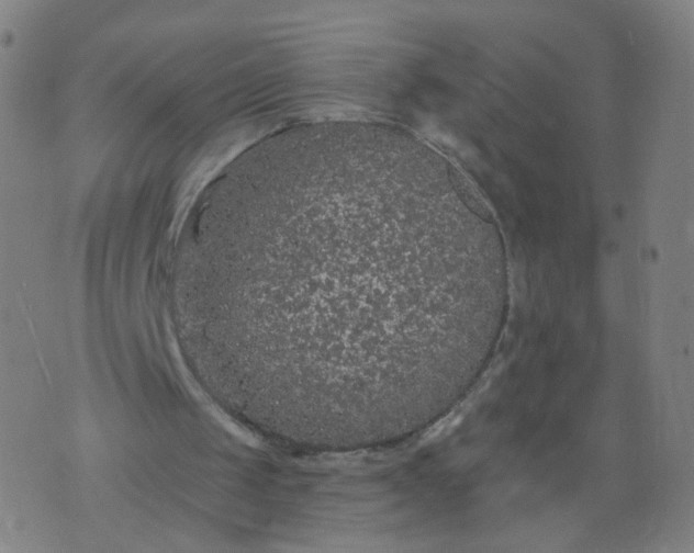 X0000074280049200609081837