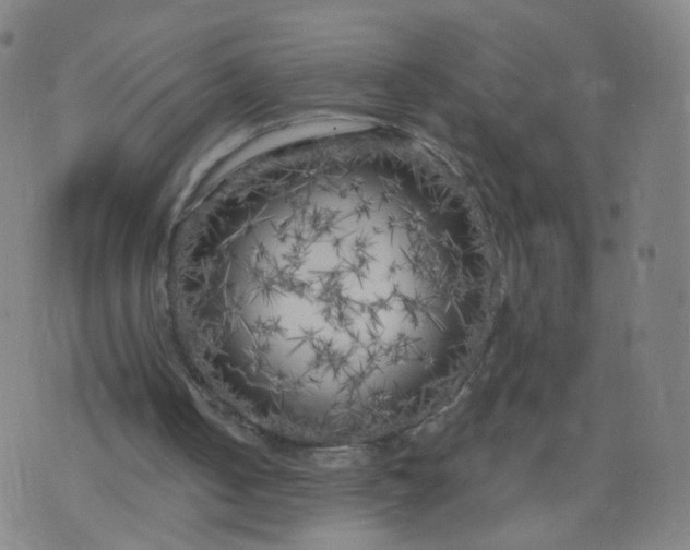 X0000074280050200609081837