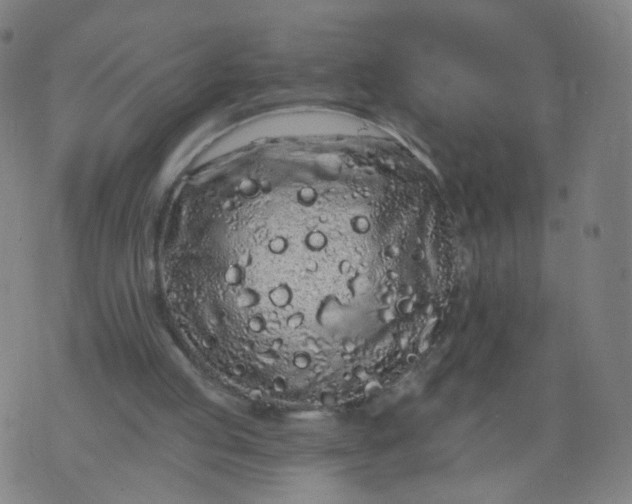 X0000074280053200609081837