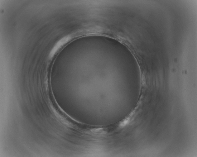 X0000074280054200609081837