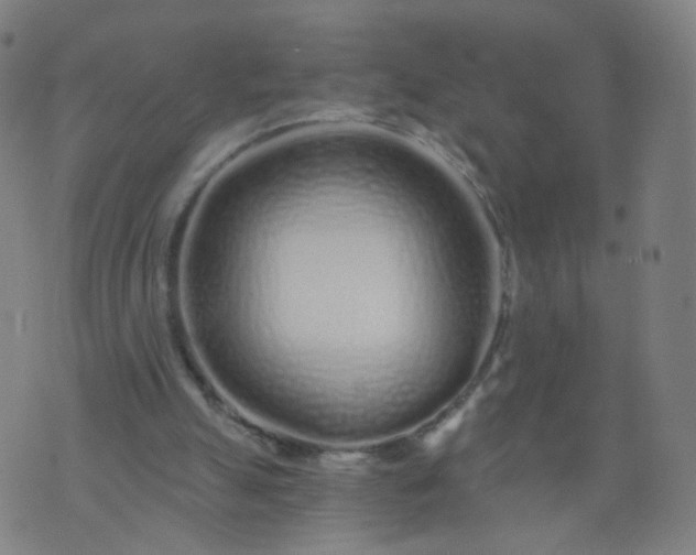 X0000074280055200609081837