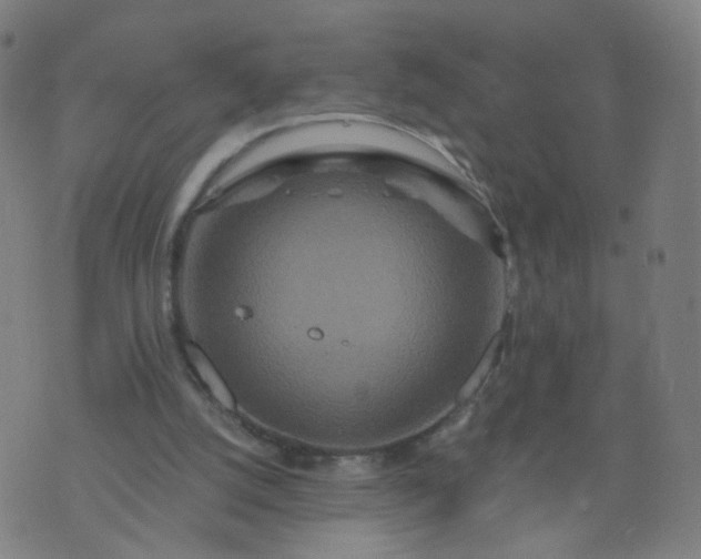 X0000074280056200609081837