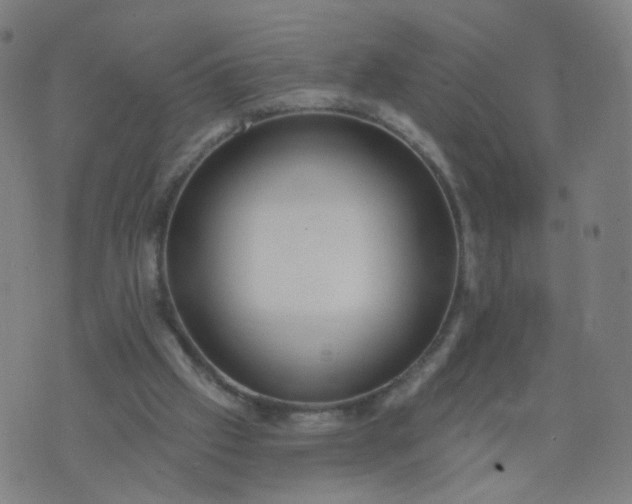 X0000074280057200609081837