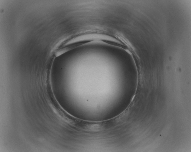 X0000074280058200609081837